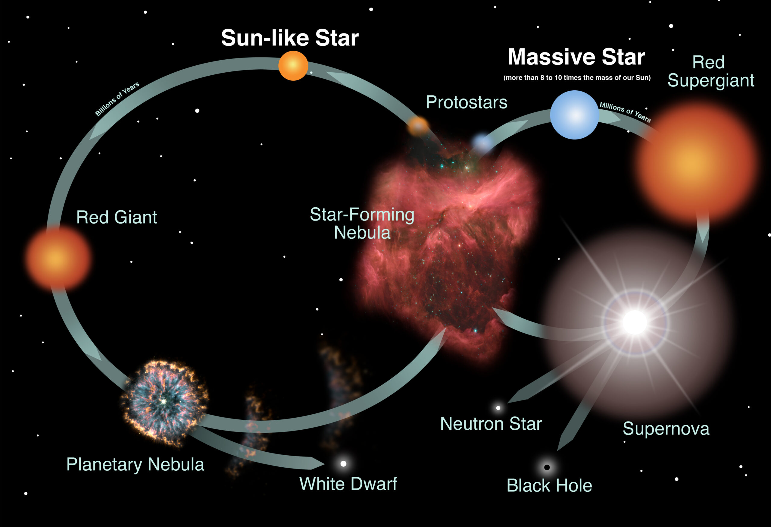 Stars Unveiled: The Dramatic Life Cycle of the Universe's Giants