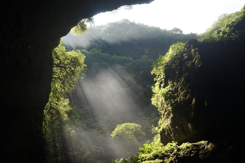 An ancient forest discovered 630 feet down sinkhole in China - Khaama Press