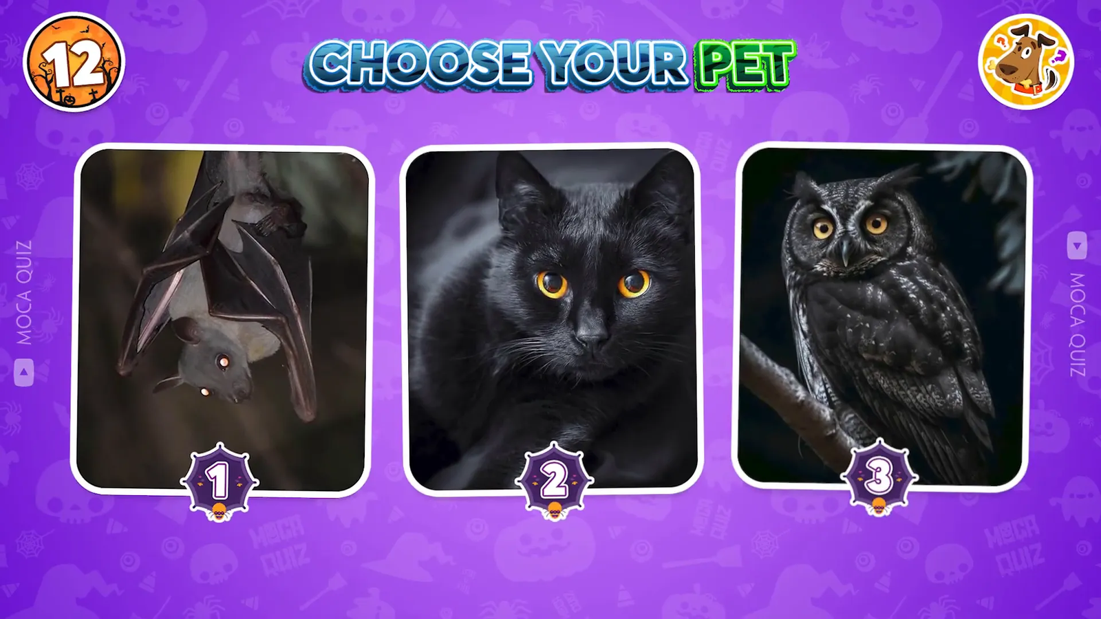 Pet buddy options for Halloween