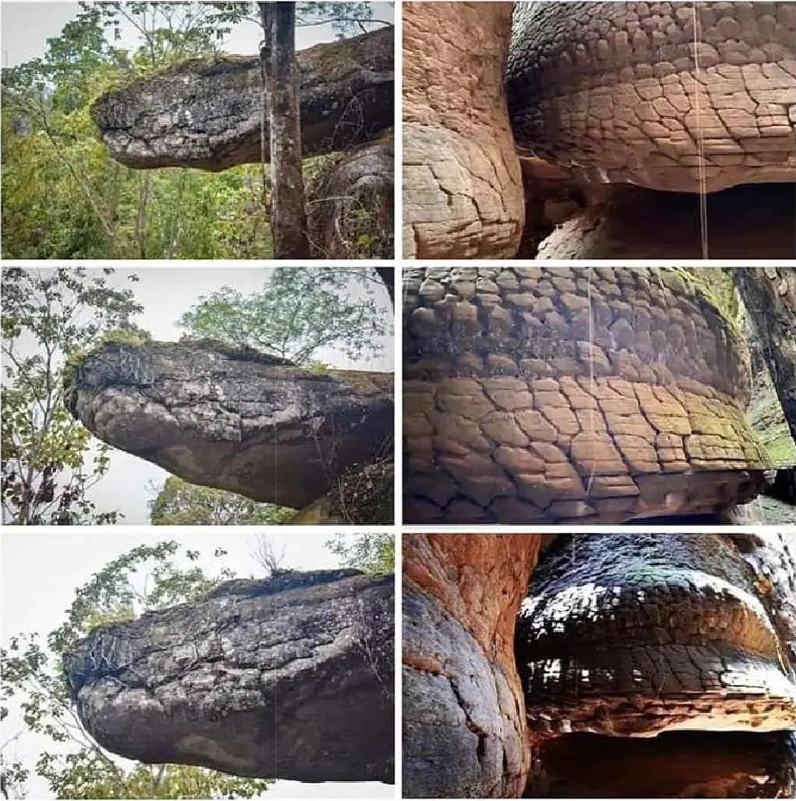 Facts on X: "Thailand's Naka Cave is home to a breathtaking sight - a giant  petrified snake! Legend says it's a guardian spirit, turned to stone. This  natural marvel blurs the line