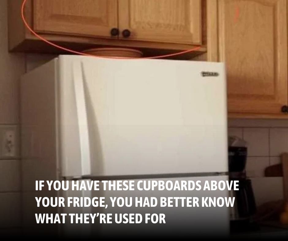 If you have these cupboards above your fridge, you had better know what they’re used for