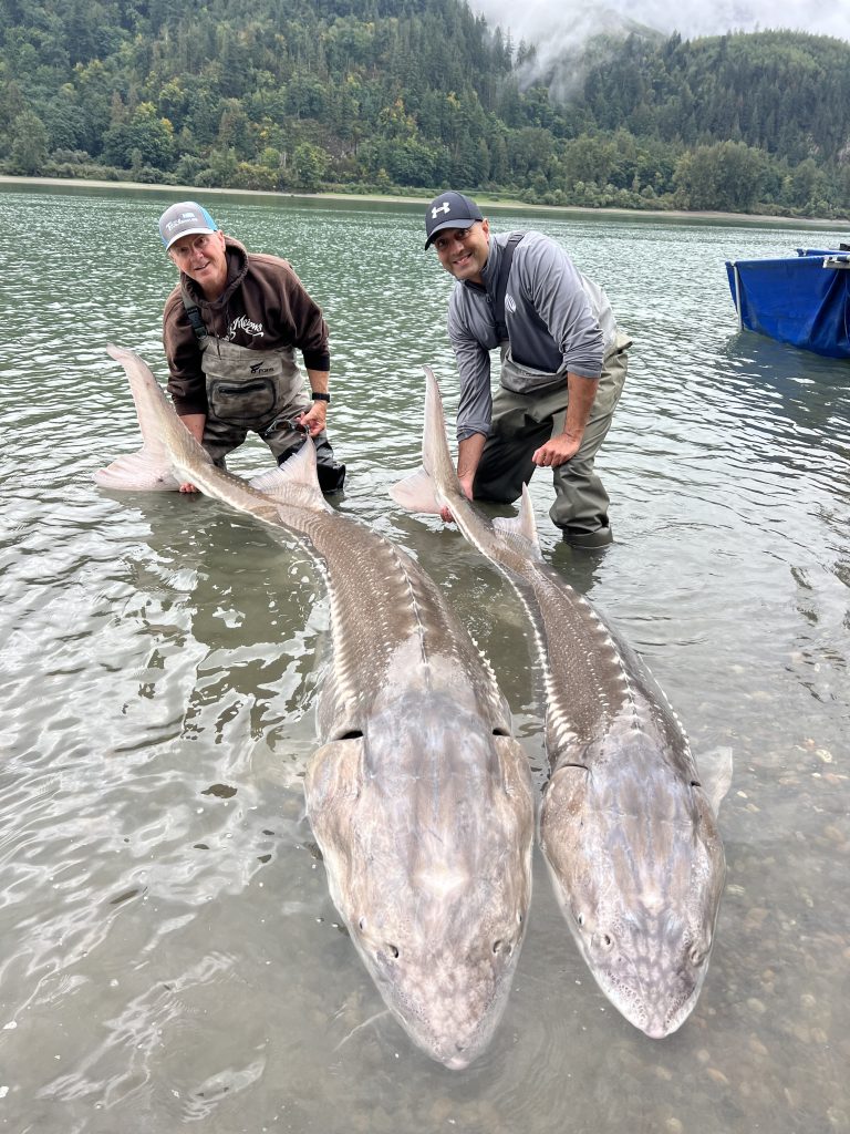 Experience Double Header Sturgeon Fishing on the Fraser River | Lang's  Fishing Adventures