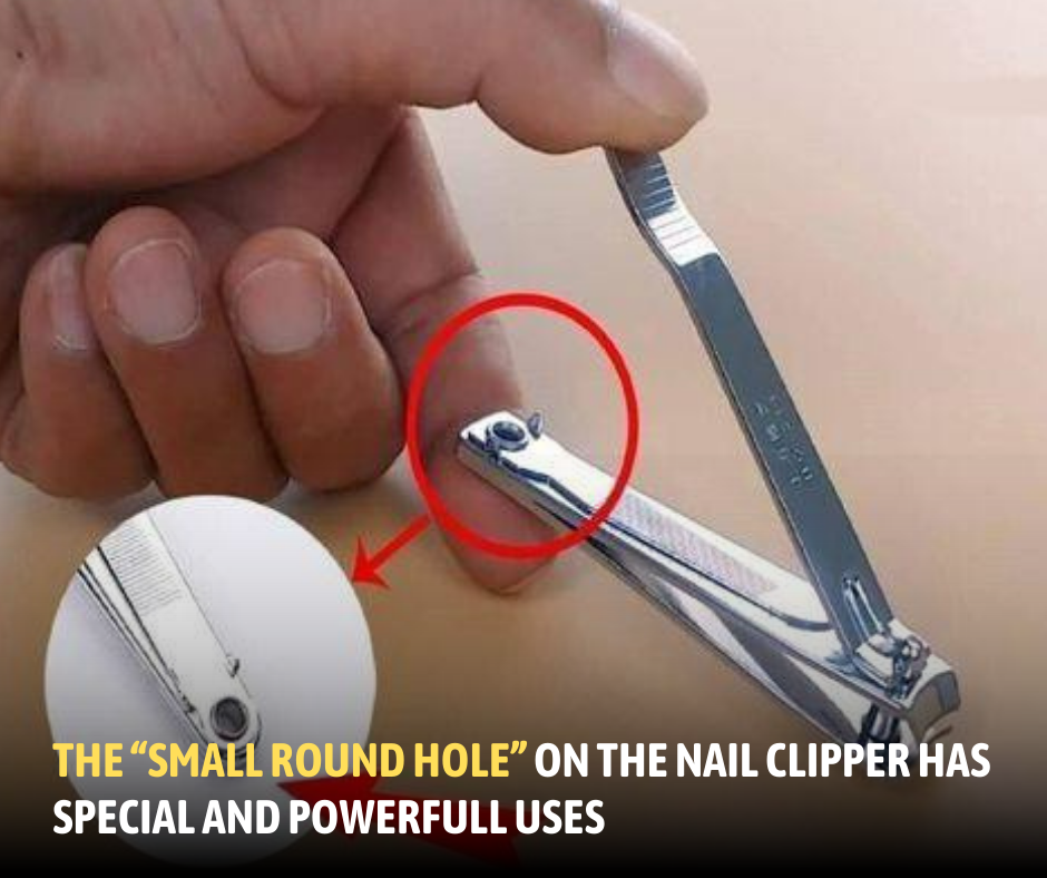 nail clipper