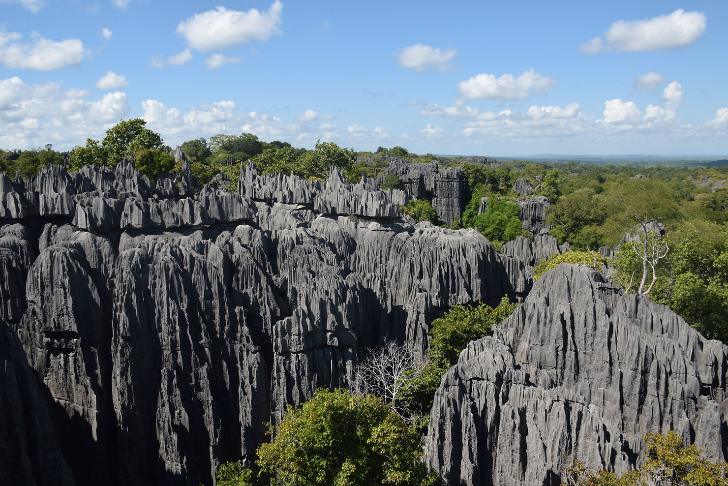 Exploring Madagascar's Stone Forest