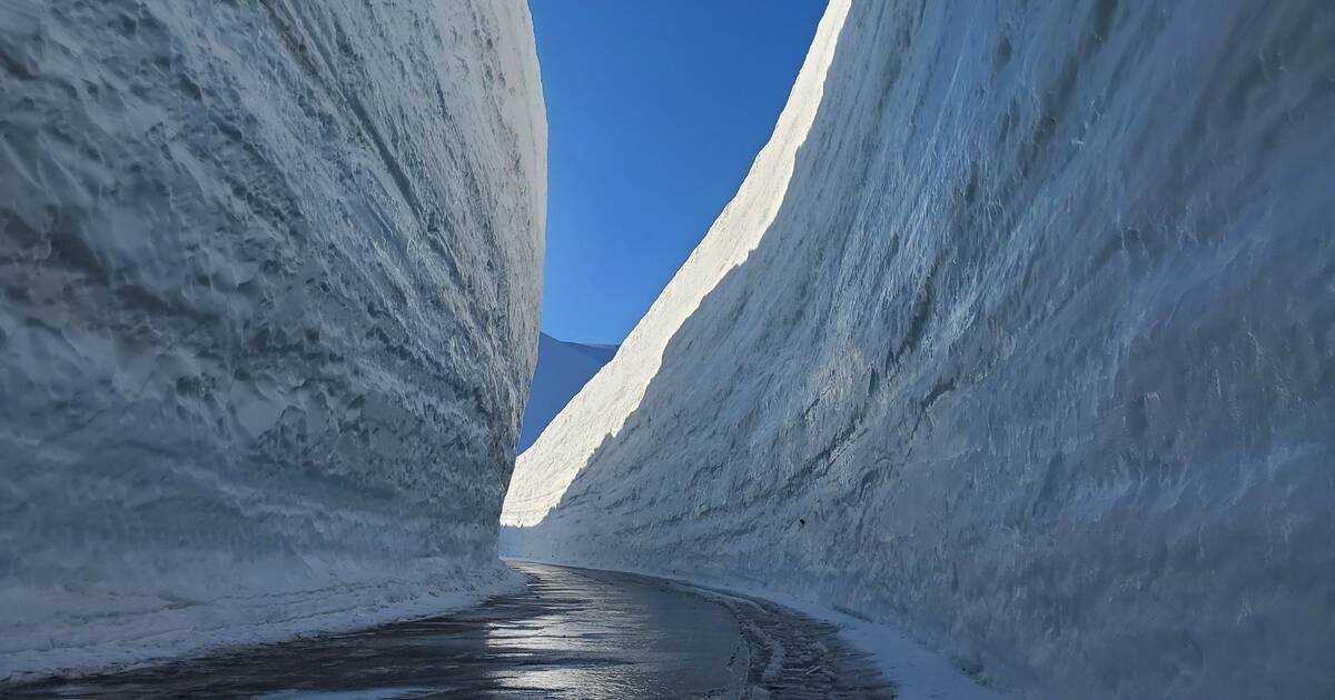 Japan's 'Snow Corridor' Is Reopening to Visitors - Thrillist