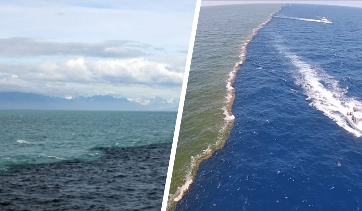 Atlantic and Pacific Oceans