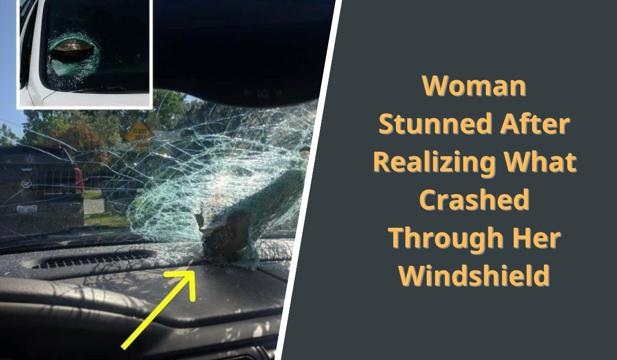 windshield-thumb.png