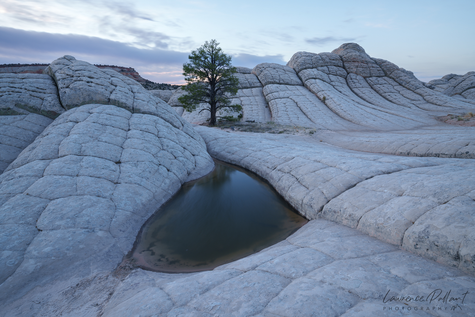 Twisted Stone #3 – White Pocket – Lawrence Pallant Photography