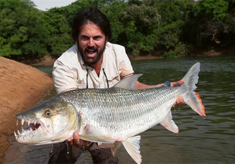 Goliath tigerfish