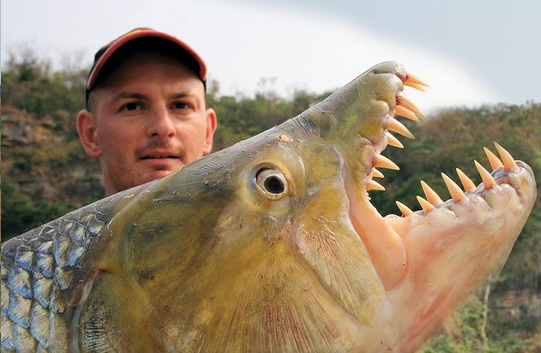 In Pursuit of the Goliath Tigerfish - For Anglers Digital Angling Network