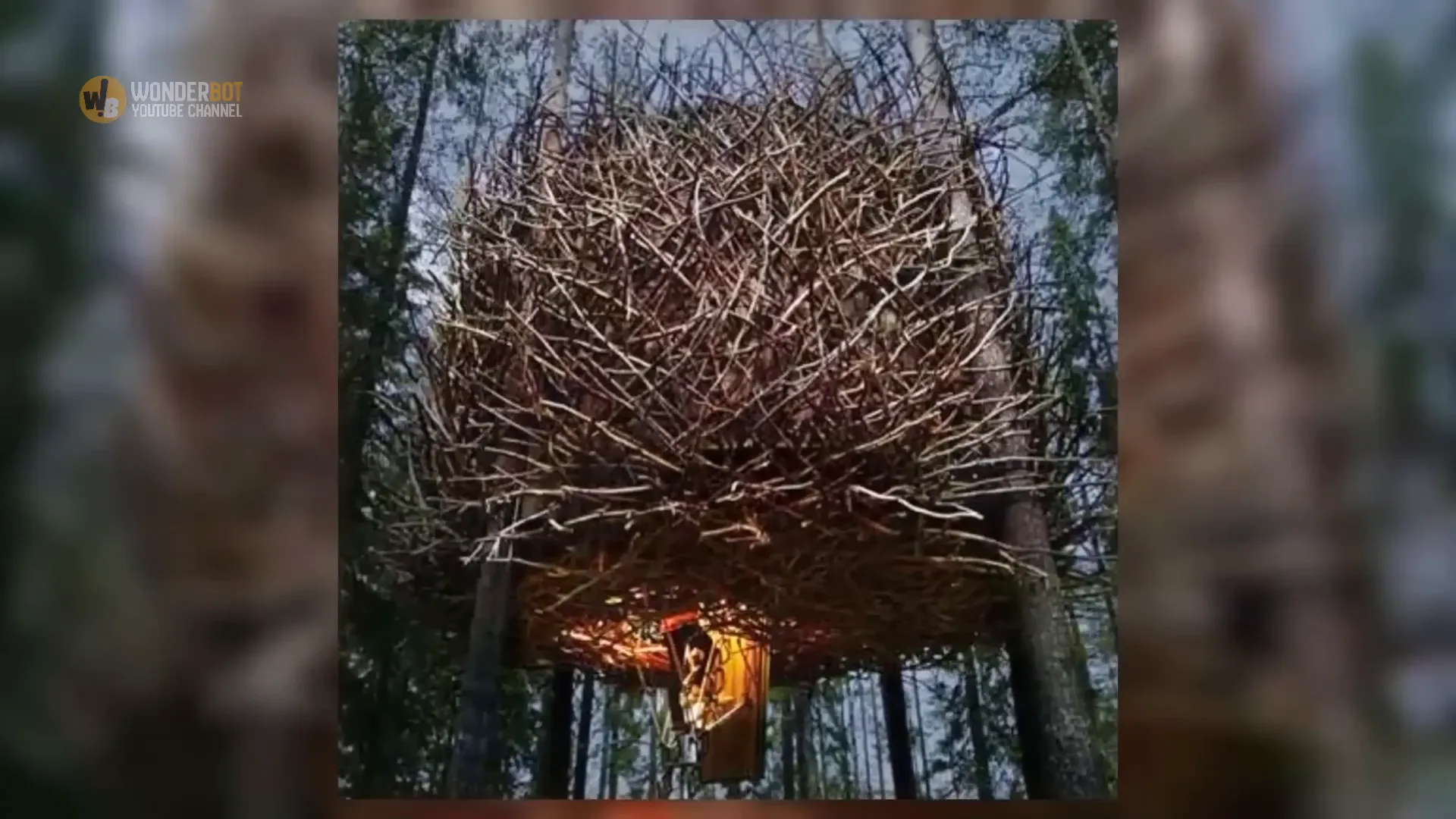 Group examining the enormous nest