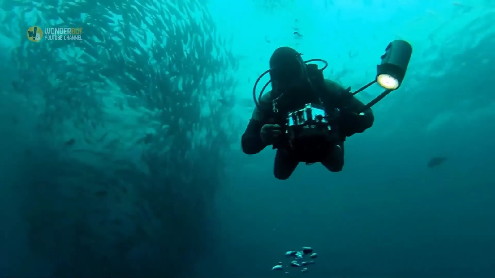 Jon dives into the lake