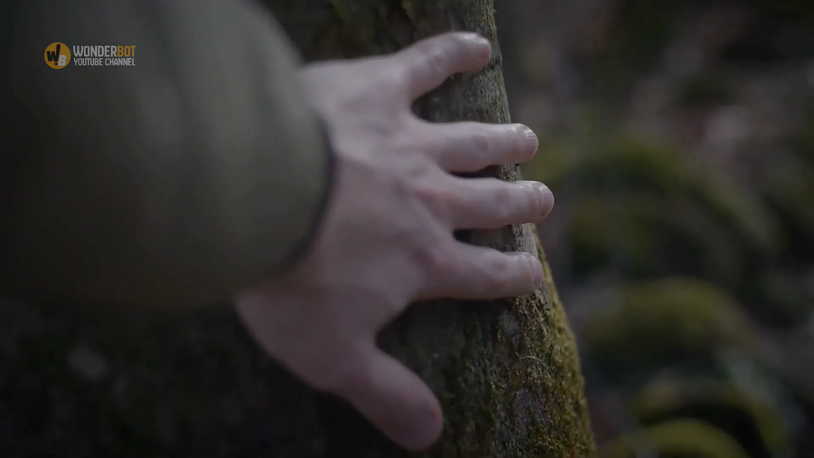 The carved message on the tree