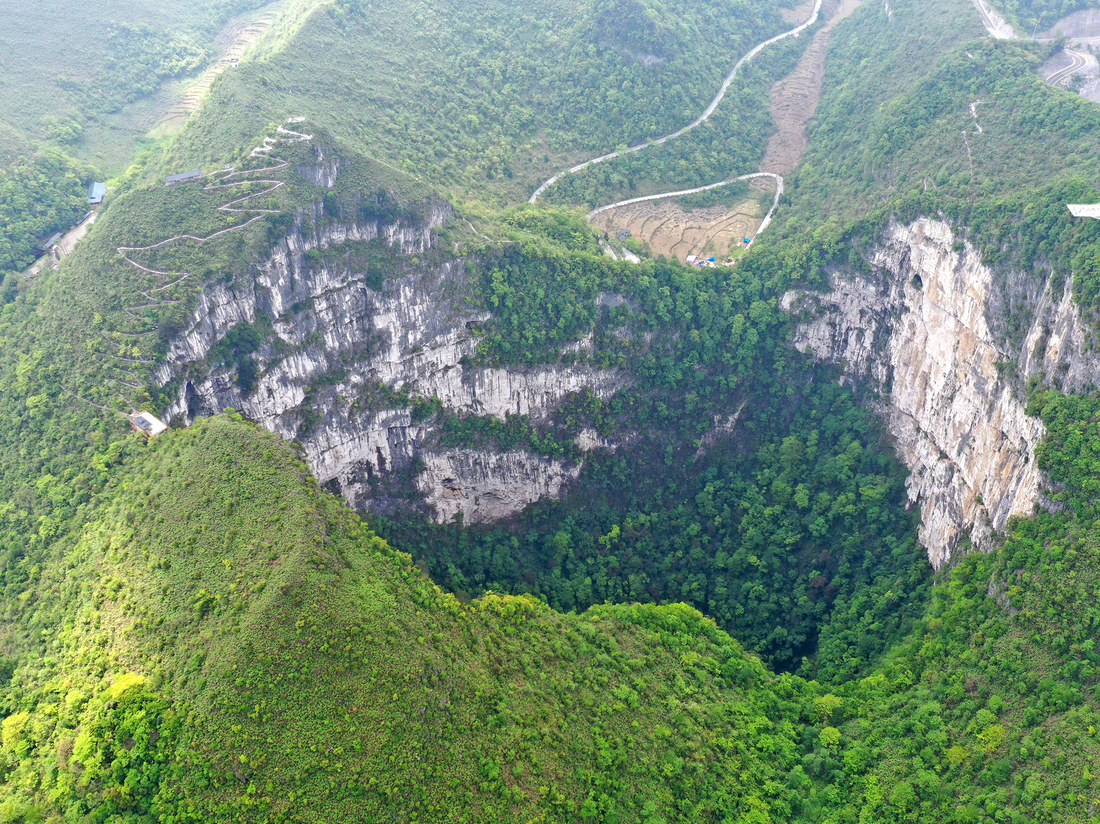 A giant sinkhole in China has an ancient forest growing inside : NPR