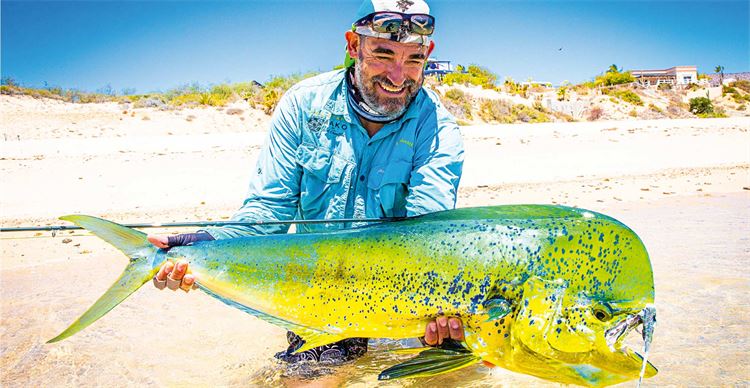 Mahi Mahi on fly